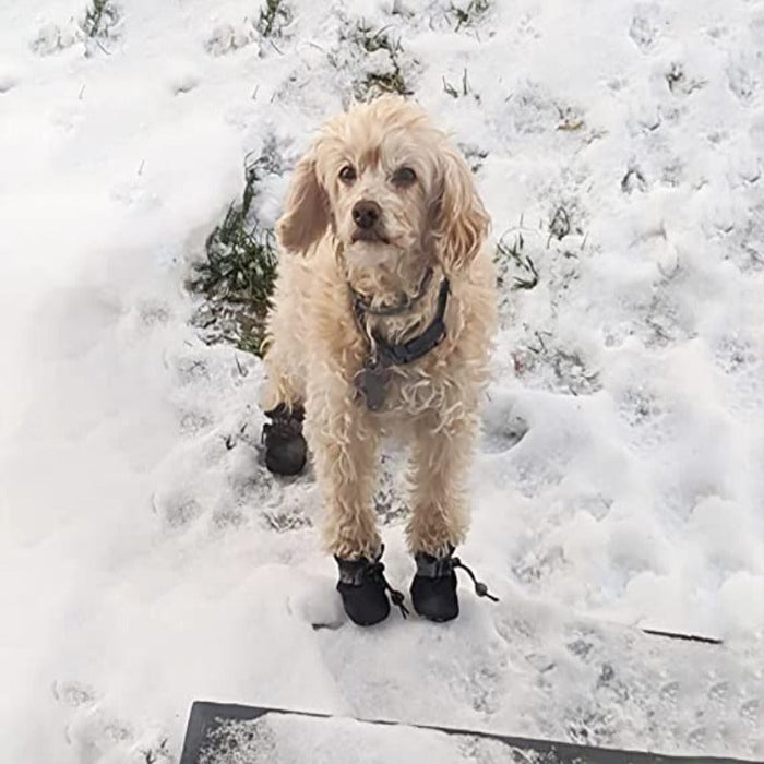 Anti-Slip Dogs Boots