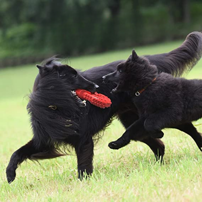 Natural Rubber Long Lasting Dog Toy