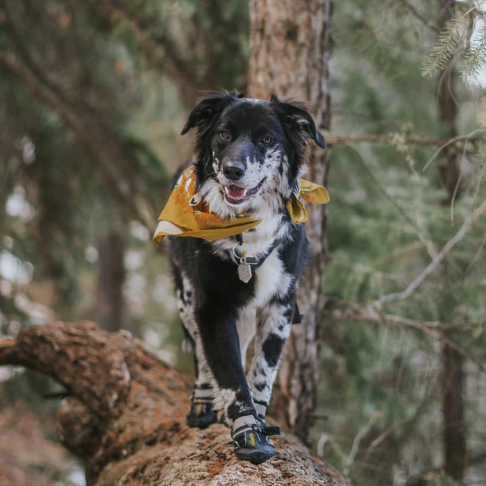 Waterproof Shoes For Dogs With Reflective Strips Rugged Anti-Slip Sole