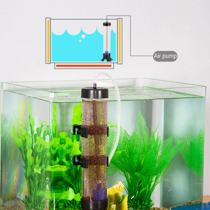 Shrimp Hatchery Aquarium For Fish Tank