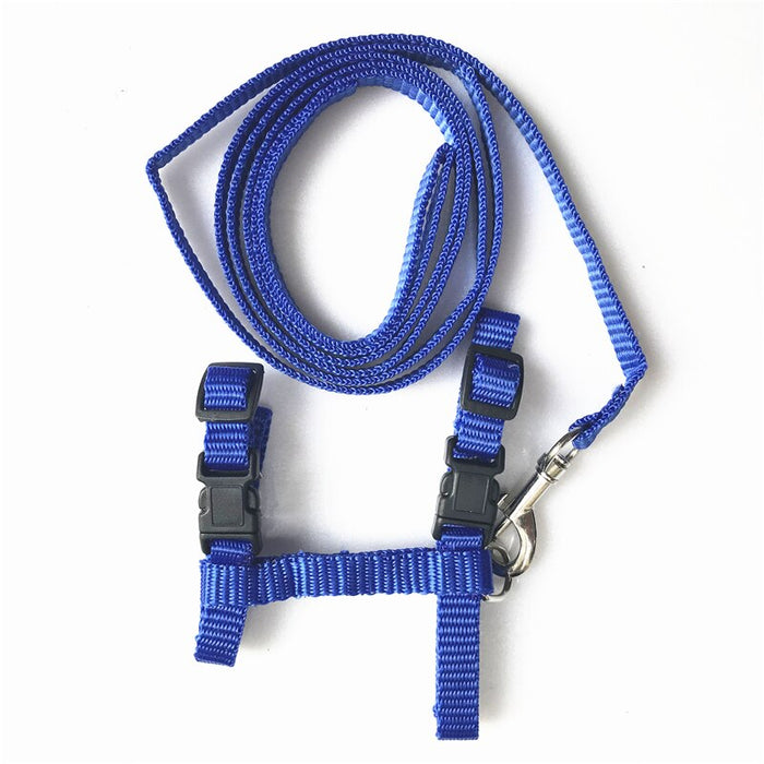 Cat Collar Harness And Leash