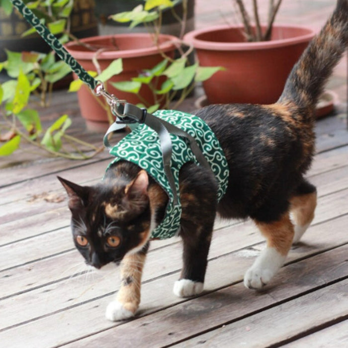 Cat Vest Harness