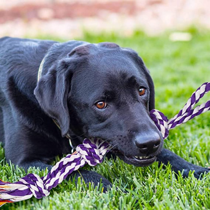 9 Pack Dental Dog Rope