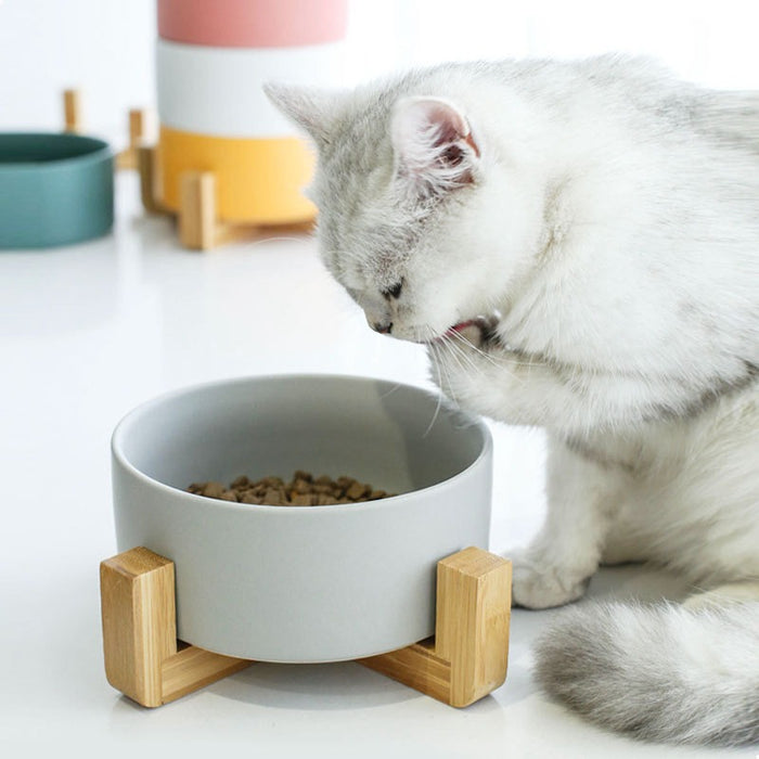 Pet Bowl With Wood Stand