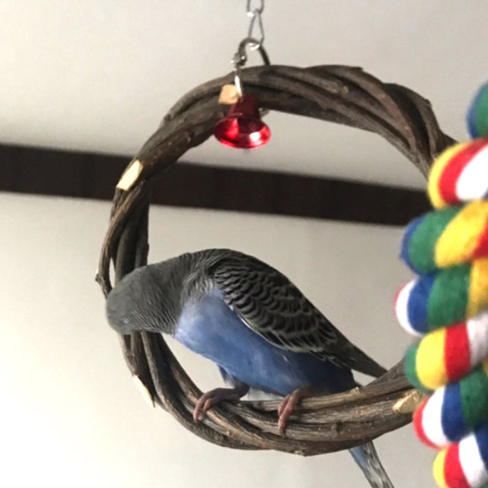 Rattan Hoop Bird Toy