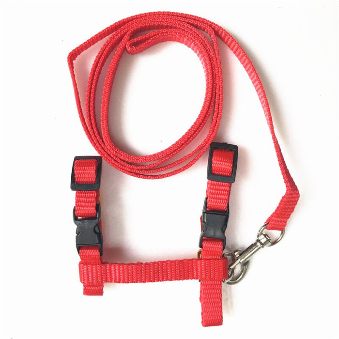 Cat Collar Harness And Leash