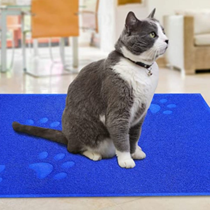 Kitty Scatter Control Washable Indoor Pet Rug And Carpet