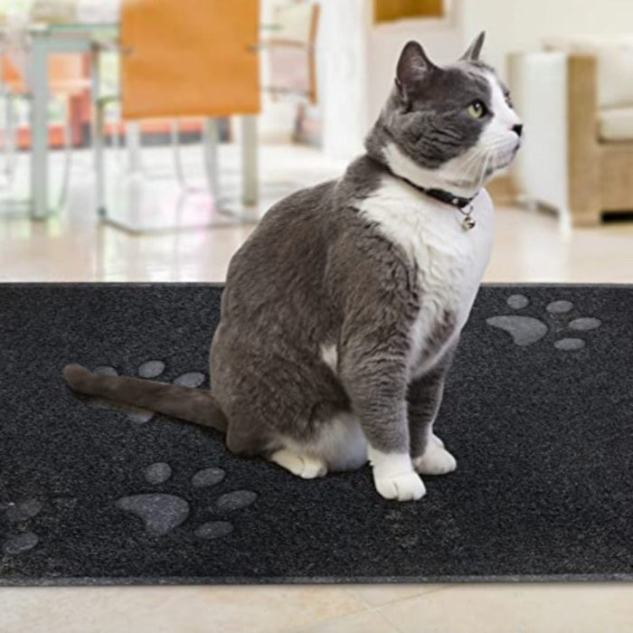 Kitty Scatter Control Washable Indoor Pet Rug And Carpet