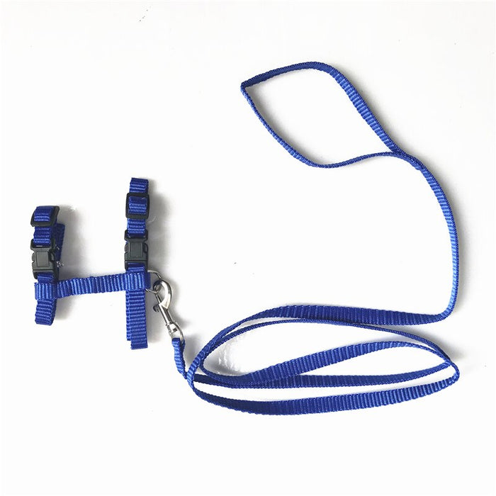 Cat Collar Harness And Leash