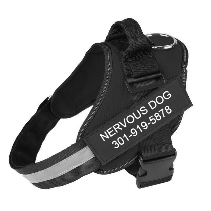Custom No Pull Dog Harness with Name and Phone Number, Heavy Duty Personalized Pet Vest