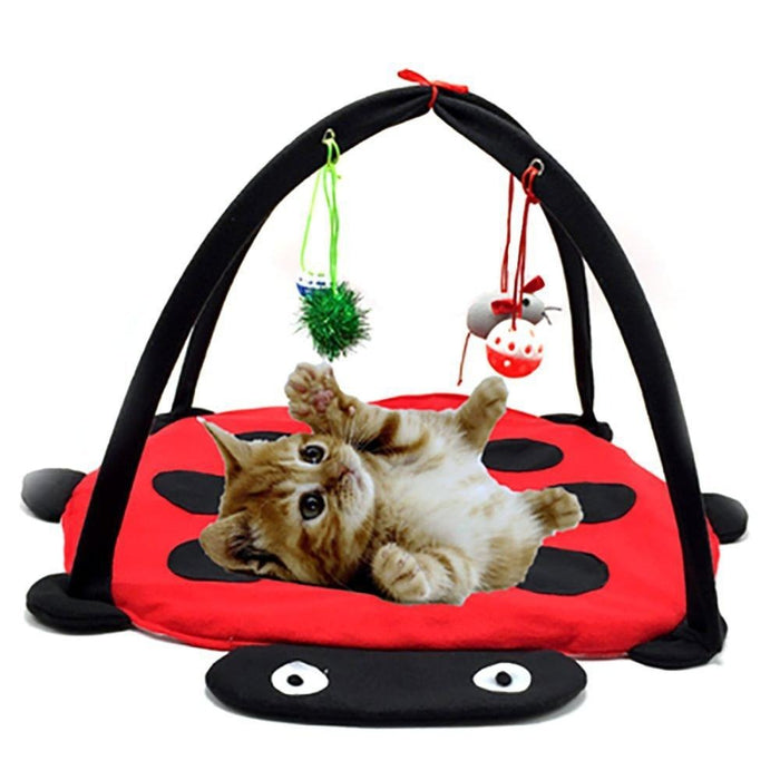 Play Cat Tent Bed