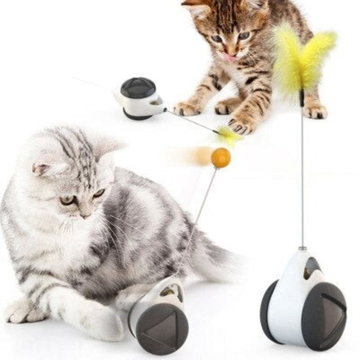 Pet Balance Swing Toys