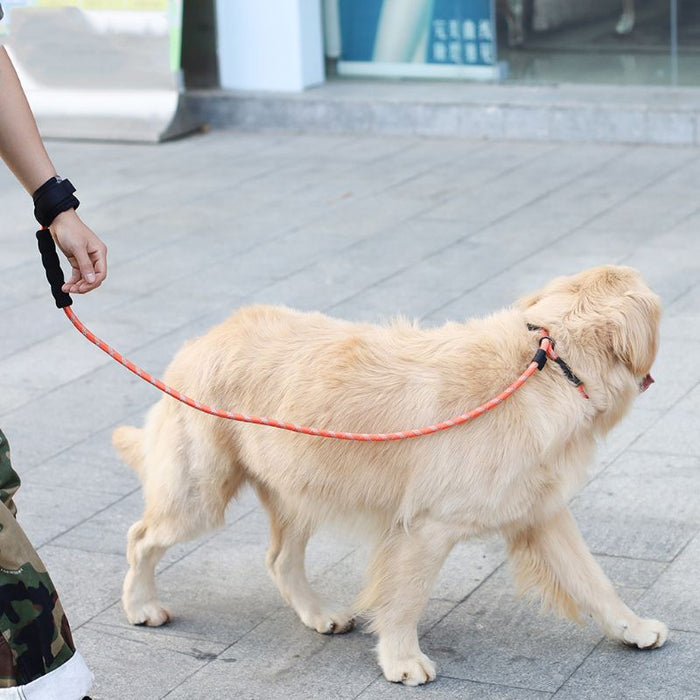 Pet Dog Harness Collar Leash