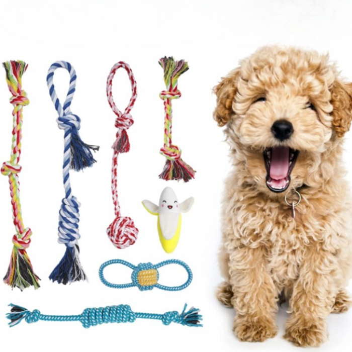 Dog Chew Toys For Puppy