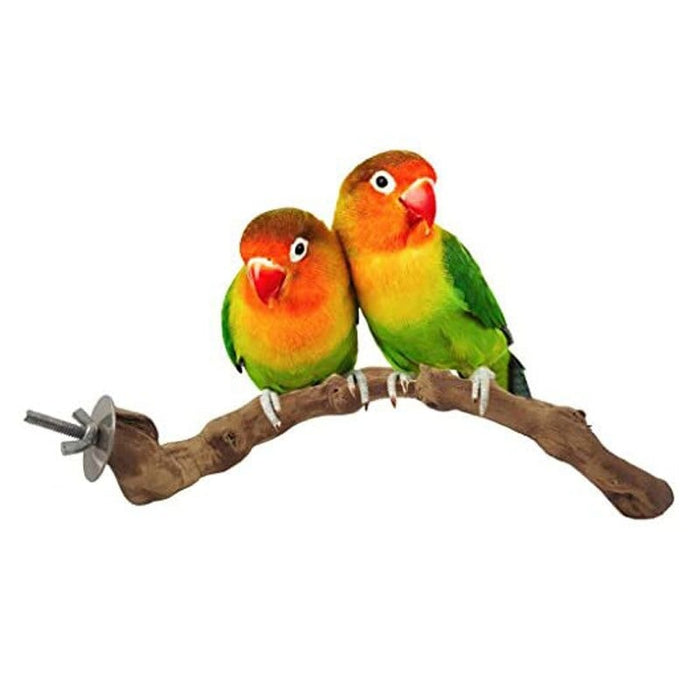 Pet Parrot Bird Standing Wood Stick