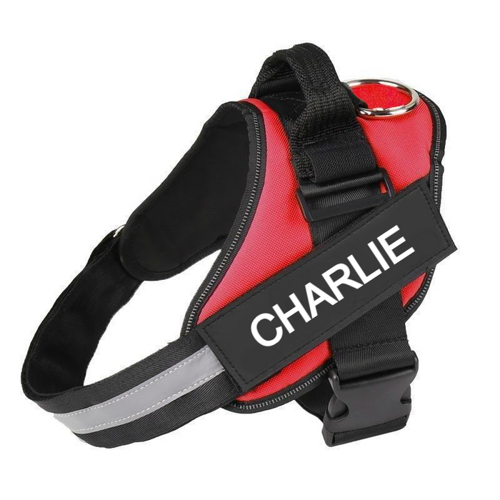 Custom No Pull Dog Harness with Name and Phone Number, Heavy Duty Personalized Pet Vest
