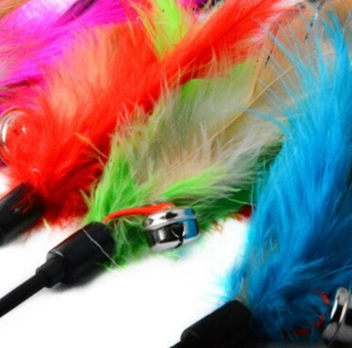 Soft Colorful Cat Feather