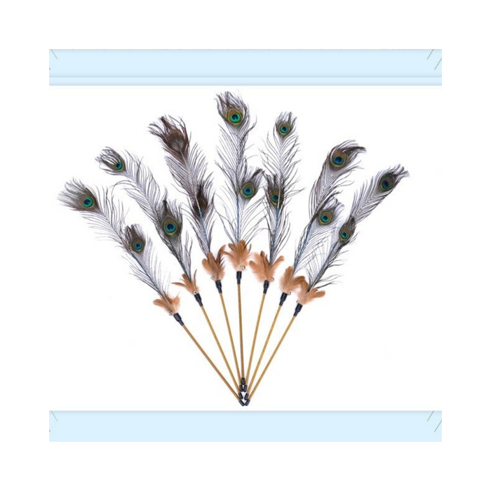 Wire Feather Teaser Wand