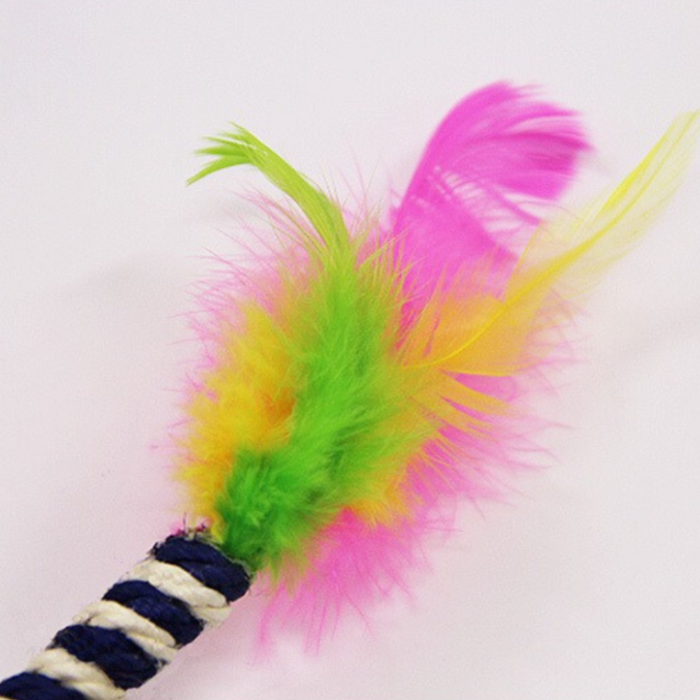 Cat Teaser Feather Wand