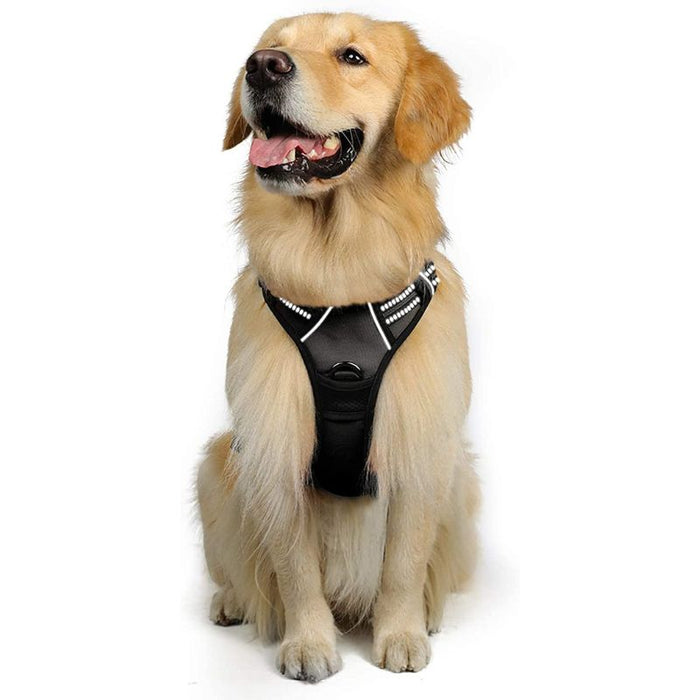 No-Pull Pet Harness With 2 Leash Clips