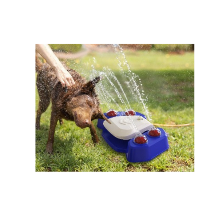 Outdoor Automatic Dog Water Fountain