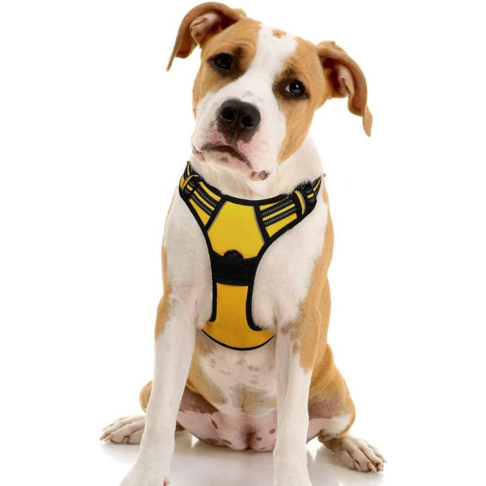 Dog No-Pull Pet Harness With 2 Leash Clips