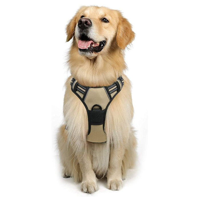 No-Pull Pet Harness With 2 Leash Clips