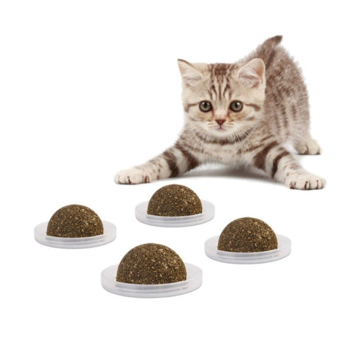 Solid Catnip Treat Ball