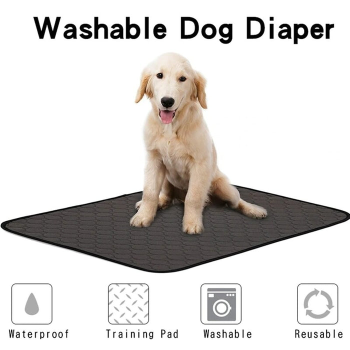 Washable Dog Mat