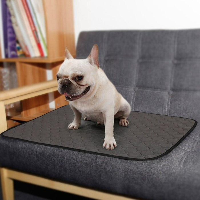 Washable Dog Mat