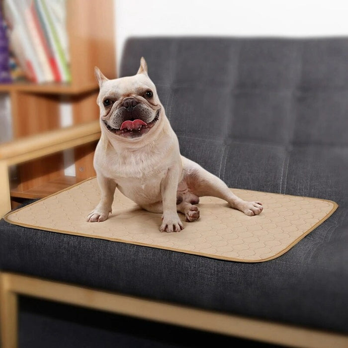 Washable Dog Mat