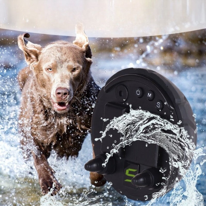 Vibration Waterproof Pet Collar
