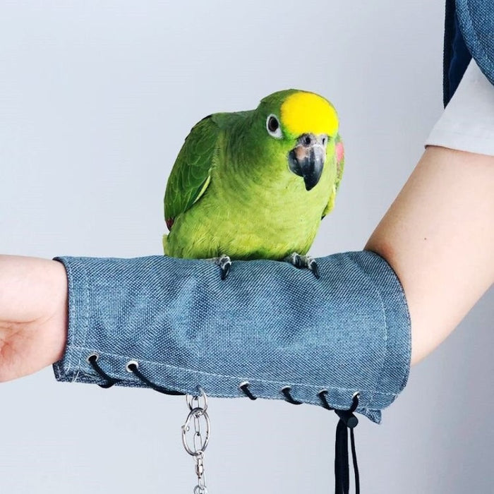 Anti-Scratch Parrot Training Shoulder Protector