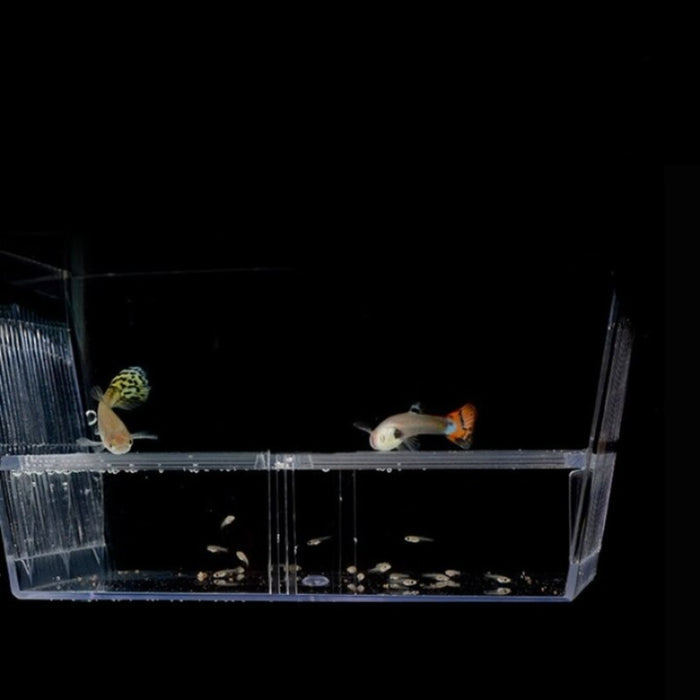 Aquarium Incubator Breeding Box