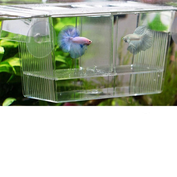 Aquarium Incubator Breeding Box