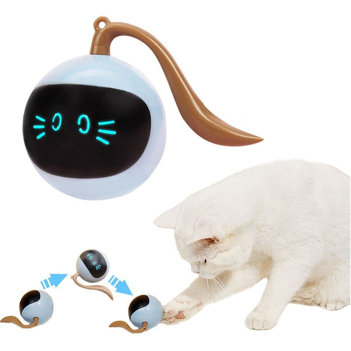 Selfplay Cat Toy