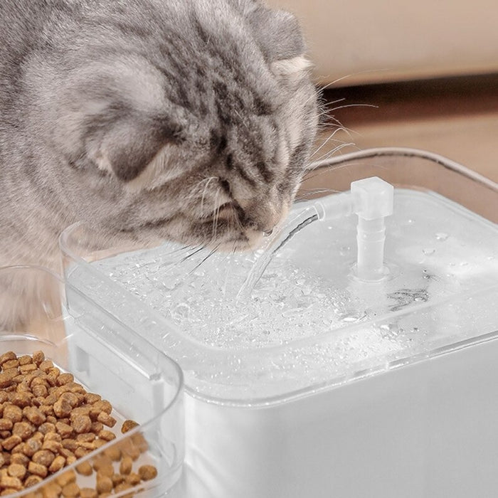 Water Fountain With Food Bowl