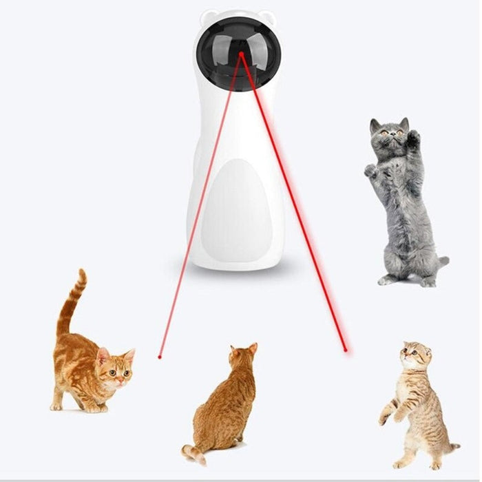 Cat Interactive Light Toy