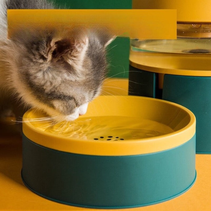 Water Food Feeder for Cat