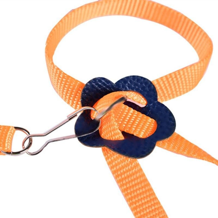 Adjustable Collar Harness Pet Strap