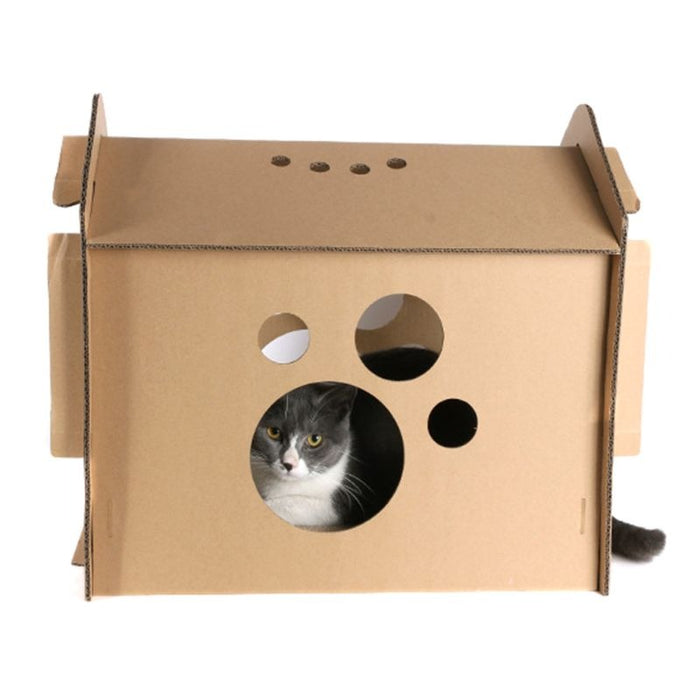 Paper Carton Box Cat