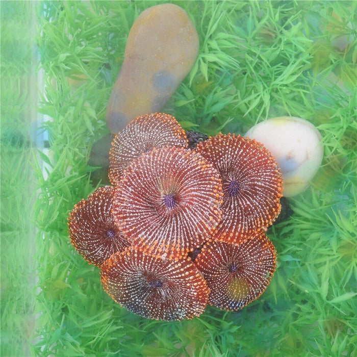 Coral Sea Plant Ornament For Aquarium