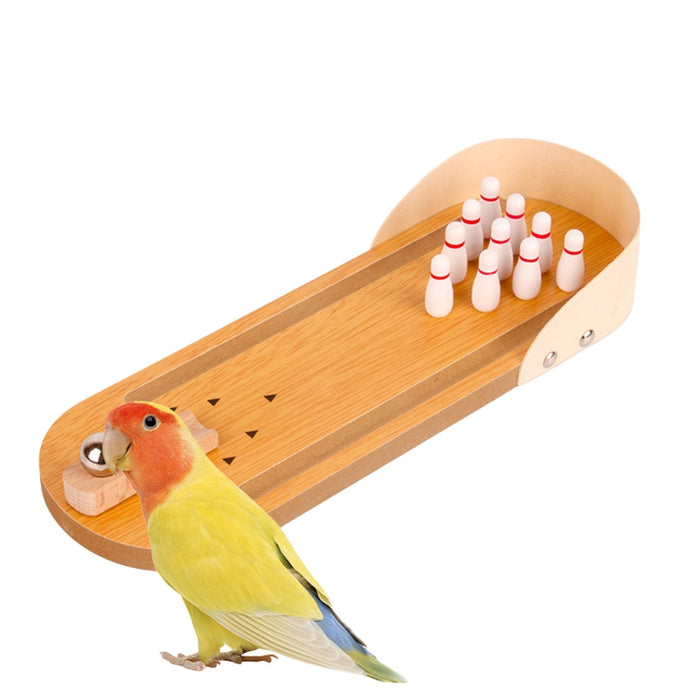 Training Chewing Bird Toys Set
