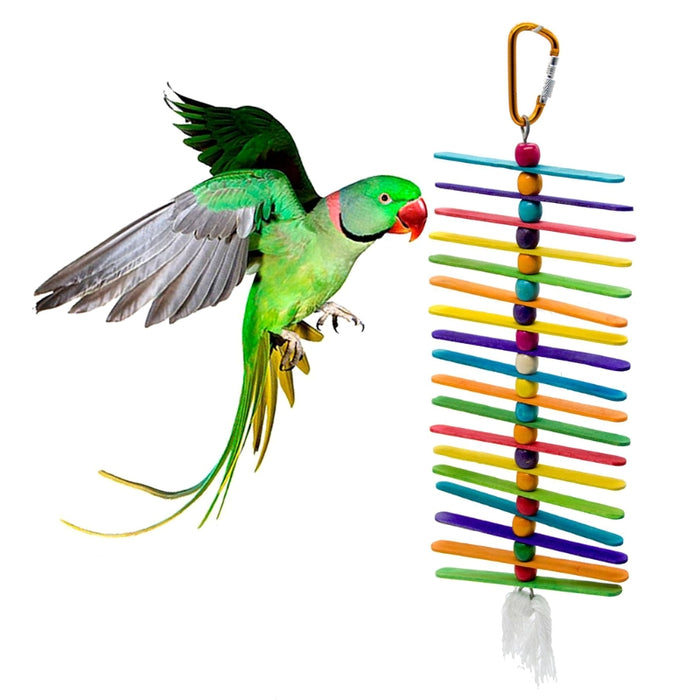 5 Pieces Set Bird Chew Toys