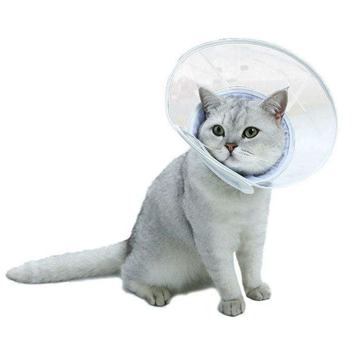 Healing Surgery Cat Collar