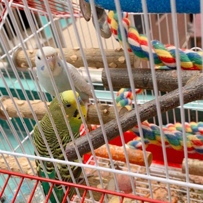 4 Piece Bird Chew Toy