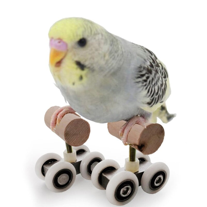 6 Piece Bird Training Toys