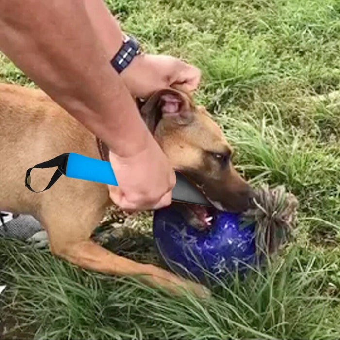 Dog Break Training Stick