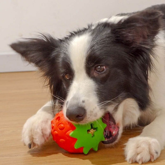 Dog Chew Toys Rubber Strawberry Balls