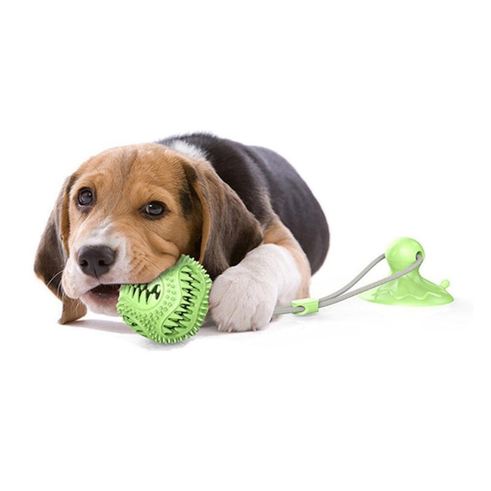 Dog Interactive Suction Cup